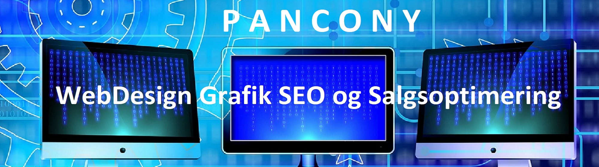 WebDesign Grafik og SEO med Pancony.dk